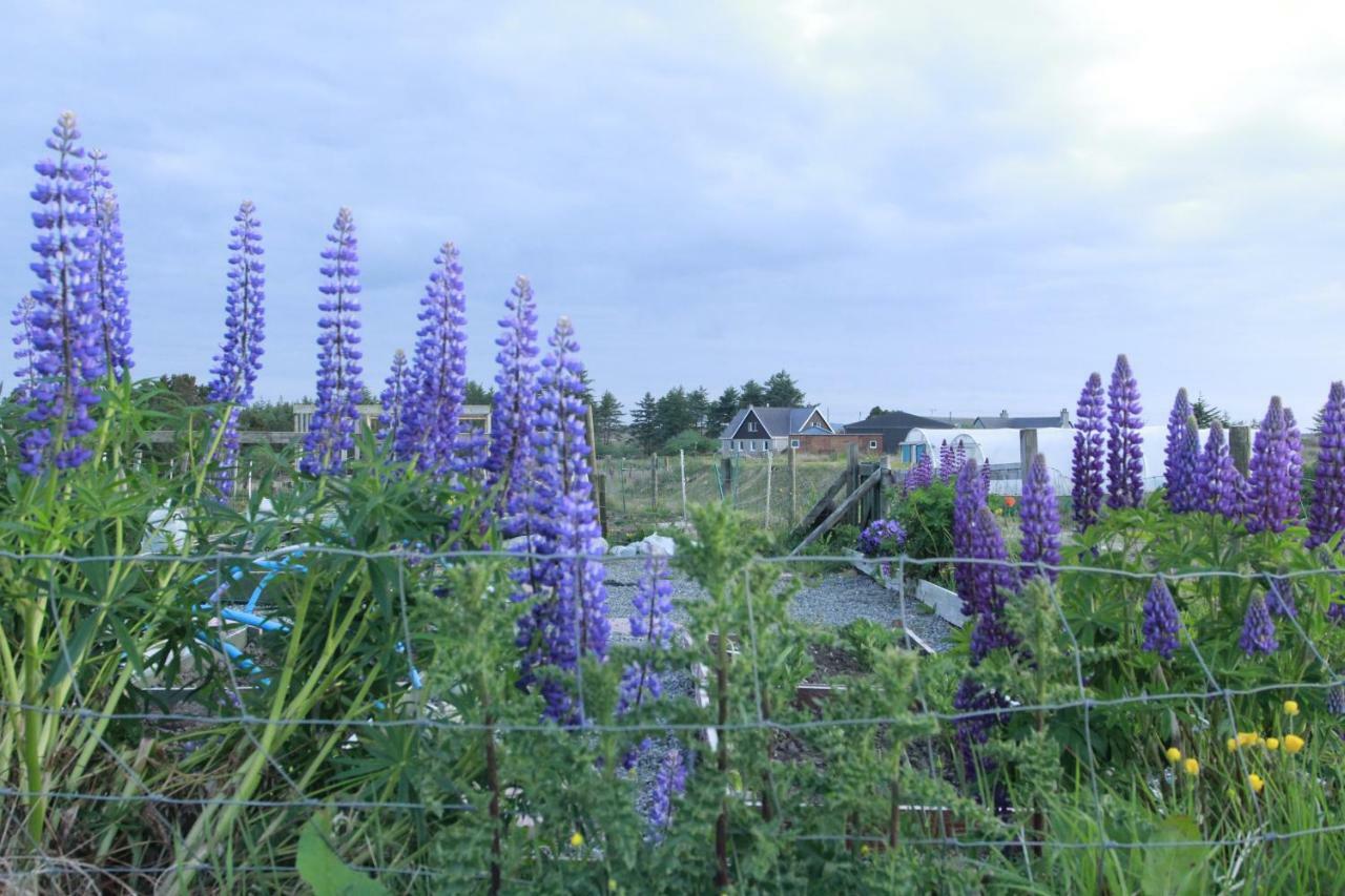 Macaulay Farm Lodge Stornoway  Dış mekan fotoğraf